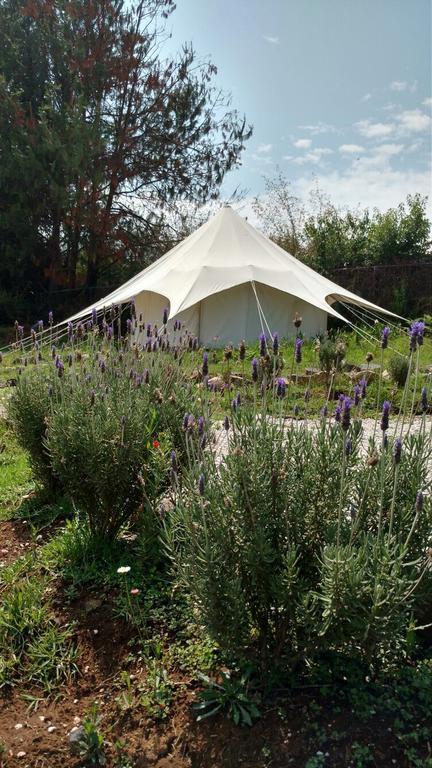 Готель Acatitlan Glamping Вальє-де-Браво Екстер'єр фото